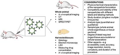 Advantages and Limitations of Current Techniques for Analyzing the Biodistribution of Nanoparticles